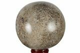 Polished Agatized Dinosaur (Gembone) Sphere - Morocco #189822-1